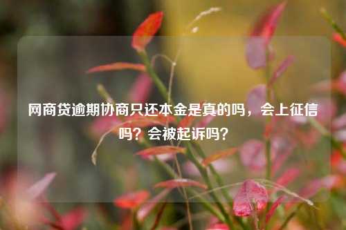 网商贷逾期协商只还本金是真的吗，会上征信吗？会被起诉吗？