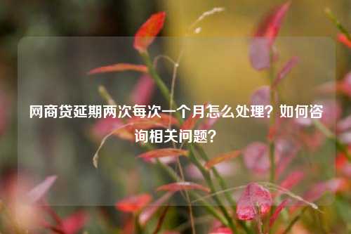 网商贷延期两次每次一个月怎么处理？如何咨询相关问题？