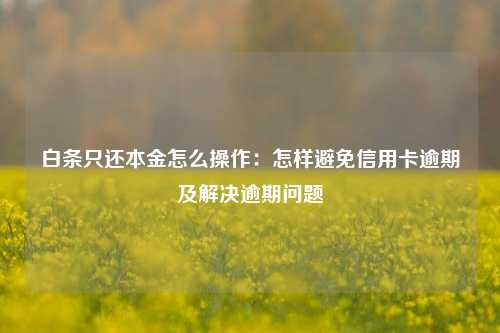 白条只还本金怎么操作：怎样避免信用卡逾期及解决逾期问题