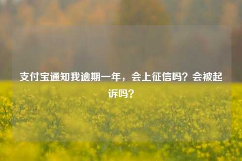 支付宝通知我逾期一年，会上征信吗？会被起诉吗？