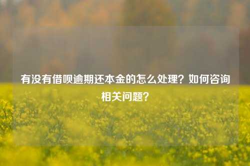 有没有借呗逾期还本金的怎么处理？如何咨询相关问题？