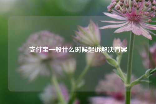 支付宝一般什么时候起诉解决方案