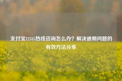 支付宝12345热线咨询怎么办？解决逾期问题的有效方法分享