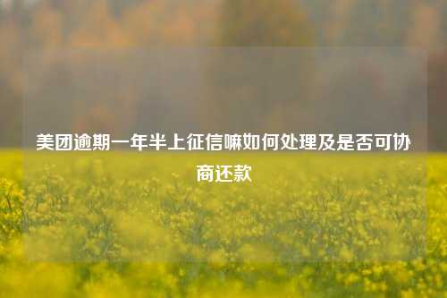 美团逾期一年半上征信嘛如何处理及是否可协商还款