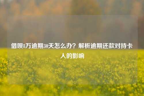 借呗8万逾期30天怎么办？解析逾期还款对持卡人的影响