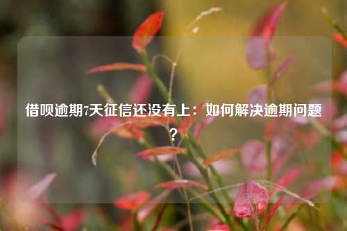 借呗逾期7天征信还没有上：如何解决逾期问题？