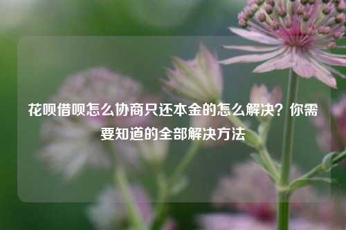 花呗借呗怎么协商只还本金的怎么解决？你需要知道的全部解决方法