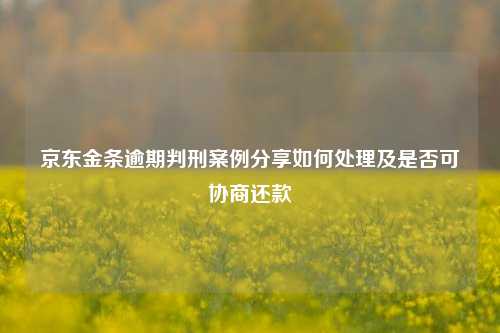 京东金条逾期判刑案例分享如何处理及是否可协商还款