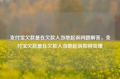 支付宝欠款是在欠款人当地起诉问题解答，支付宝欠款是在欠款人当地起诉如何处理