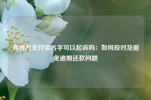 有对方支付宝名字可以起诉吗：如何应对及避免逾期还款问题