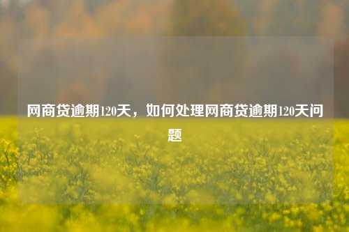 网商贷逾期120天，如何处理网商贷逾期120天问题