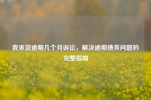 我来贷逾期几个月诉讼，解决逾期债务问题的完整指南