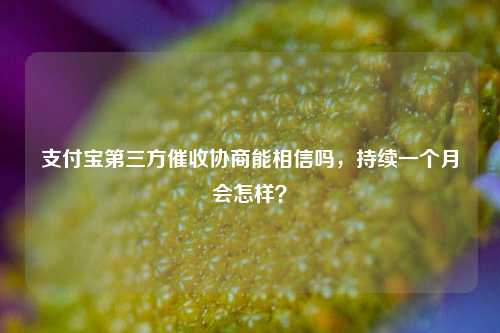 支付宝第三方催收协商能相信吗，持续一个月会怎样？