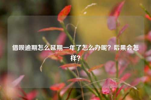 借呗逾期怎么延期一年了怎么办呢？后果会怎样？