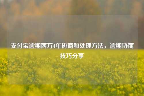 支付宝逾期两万4年协商和处理方法，逾期协商技巧分享