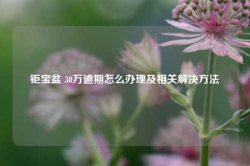 钜宝盆 30万逾期怎么办理及相关解决方法