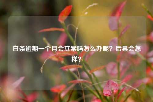 白条逾期一个月会立案吗怎么办呢？后果会怎样？