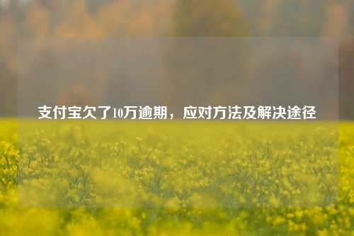 支付宝欠了10万逾期，应对方法及解决途径