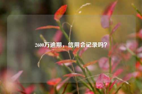 2600万逾期，信用会记录吗？