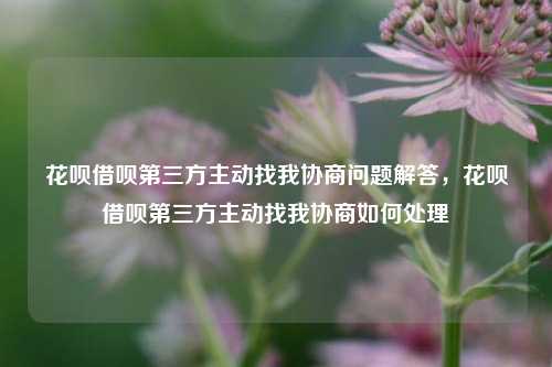 花呗借呗第三方主动找我协商问题解答，花呗借呗第三方主动找我协商如何处理