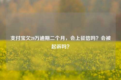 支付宝欠20万逾期二个月，会上征信吗？会被起诉吗？