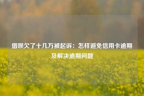 借呗欠了十几万被起诉：怎样避免信用卡逾期及解决逾期问题