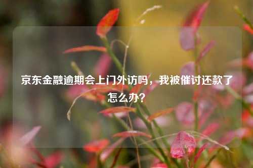 京东金融逾期会上门外访吗，我被催讨还款了怎么办？