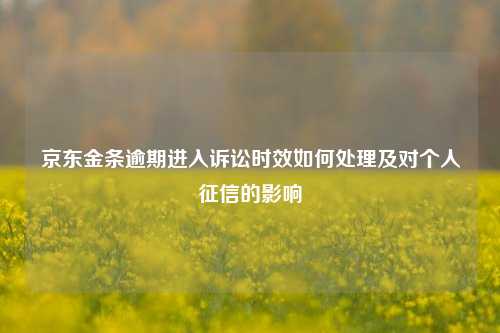 京东金条逾期进入诉讼时效如何处理及对个人征信的影响