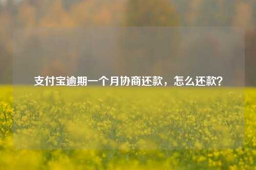 支付宝逾期一个月协商还款，怎么还款？