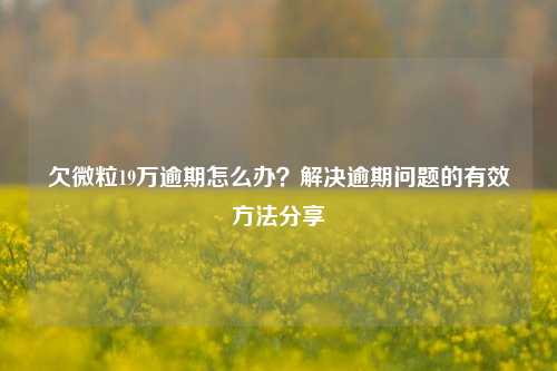 欠微粒19万逾期怎么办？解决逾期问题的有效方法分享