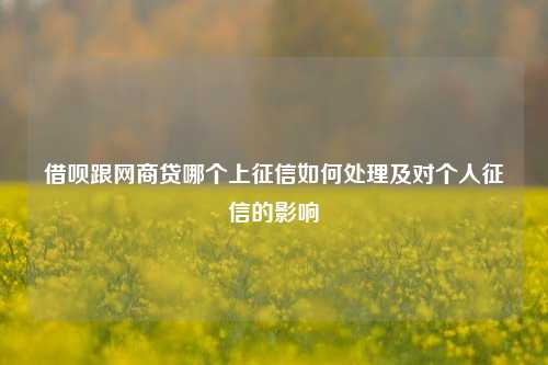 借呗跟网商贷哪个上征信如何处理及对个人征信的影响