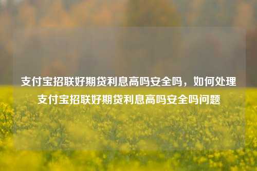 支付宝招联好期贷利息高吗安全吗，如何处理支付宝招联好期贷利息高吗安全吗问题