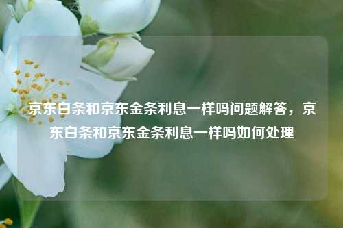 京东白条和京东金条利息一样吗问题解答，京东白条和京东金条利息一样吗如何处理