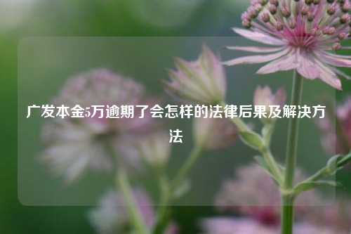 广发本金5万逾期了会怎样的法律后果及解决方法