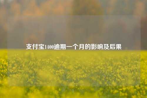 支付宝1400逾期一个月的影响及后果