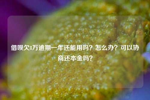 借呗欠8万逾期一年还能用吗？怎么办？可以协商还本金吗？