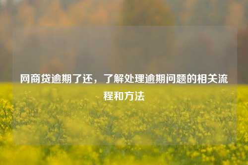 网商贷逾期了还，了解处理逾期问题的相关流程和方法