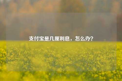 支付宝是几厘利息，怎么办？