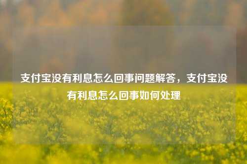 支付宝没有利息怎么回事问题解答，支付宝没有利息怎么回事如何处理