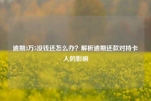 逾期3万5没钱还怎么办？解析逾期还款对持卡人的影响