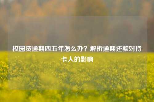 校园贷逾期四五年怎么办？解析逾期还款对持卡人的影响