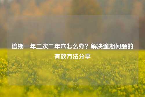 逾期一年三次二年六怎么办？解决逾期问题的有效方法分享