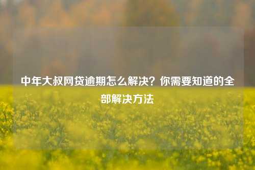 中年大叔网贷逾期怎么解决？你需要知道的全部解决方法