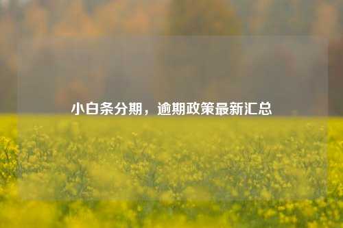 小白条分期，逾期政策最新汇总