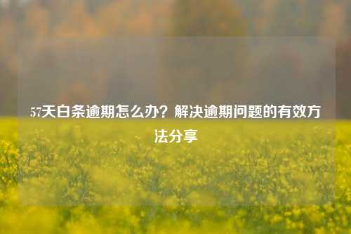 57天白条逾期怎么办？解决逾期问题的有效方法分享