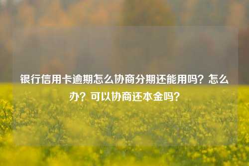 银行信用卡逾期怎么协商分期还能用吗？怎么办？可以协商还本金吗？