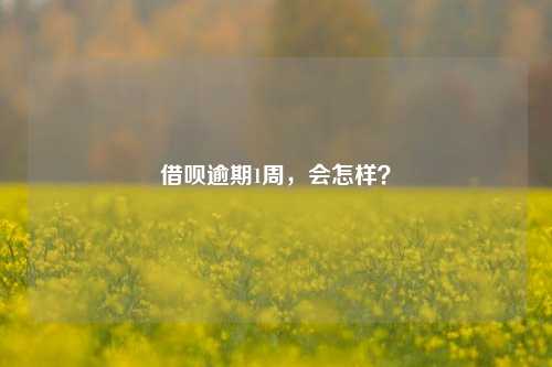 借呗逾期1周，会怎样？