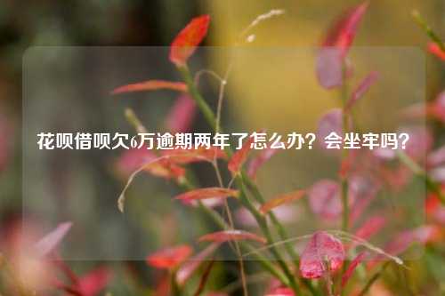 花呗借呗欠6万逾期两年了怎么办？会坐牢吗？