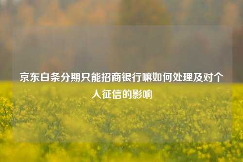 京东白条分期只能招商银行嘛如何处理及对个人征信的影响