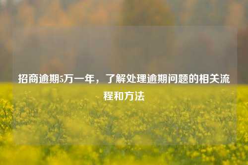 招商逾期5万一年，了解处理逾期问题的相关流程和方法